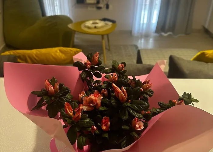 Appartamento Il Nido-entire With Balcony